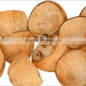 Coconut Briquette Machine