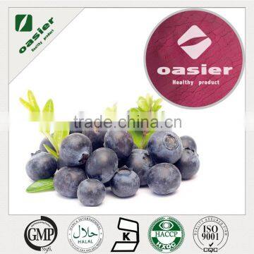 hot selling natural blueberry fruit extract powder