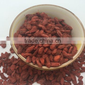 Goji Berries Dried For Export