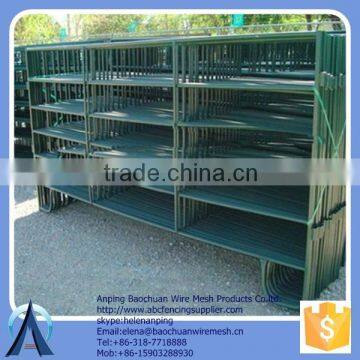 Oval Rail 40mm*80mm*1.6mmT wire welded cattle panels