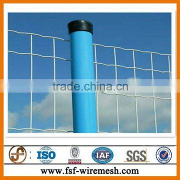 50x50mm Holland Electric Welded Wire Mesh Hot Sale Have Stock Price List photo-4