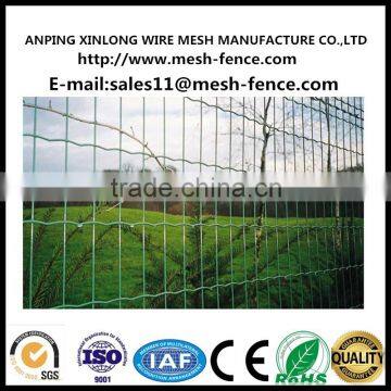 pvc coated euro fence/cheap euro fence(professional manufacturer)