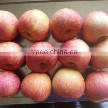 Famous Apples photo-5