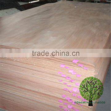 Canatium Veneer/Red Olive Veneer Watrproof Veneer Supplier Best Price