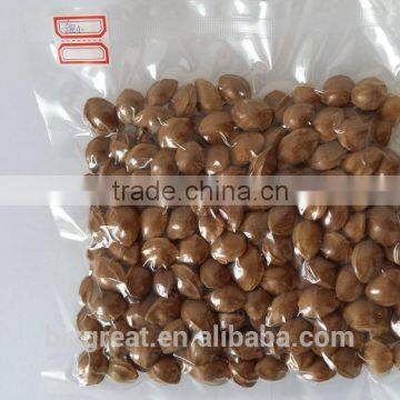 Supply With Chinese Bulk Spicy Flavored Roasted Apricot Kernels in Shell photo-5