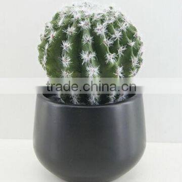 Artificial plants cactus ball