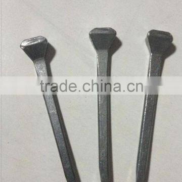 Factory Direct Sales Rock Bottom Prices Horse Shoe Nail photo-3