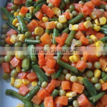 2013 Chinese Canned Vegetables