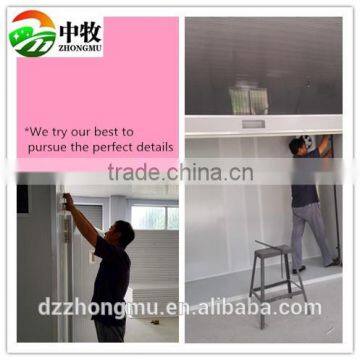 China Supplier China Importing 88 Eggs Setter Hatcher Incubator photo-4