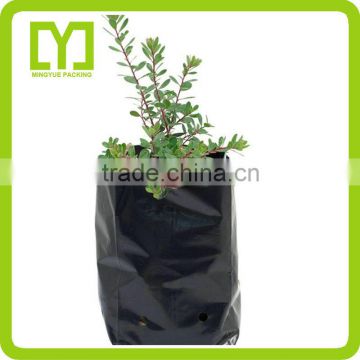 garden supplier competitive price packaging black planter grow bag