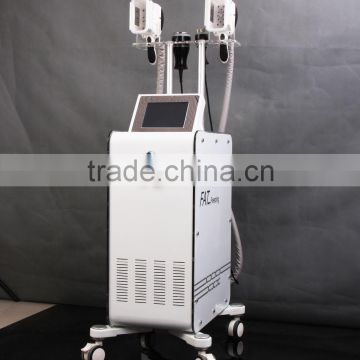 Vertical Cryolipolysis Fat Freezing Machine 220 / 110V Lymphatic Drainage Machine Flabby Skin