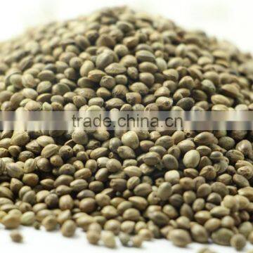 Organic Hulled Hemp Seeds