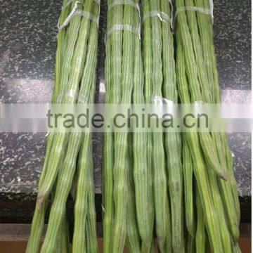 Best Quality Fresh Drumstick Vegetable from India