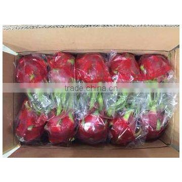 BEST VIETNAM DRAGON FRUIT/PITAYA photo-3