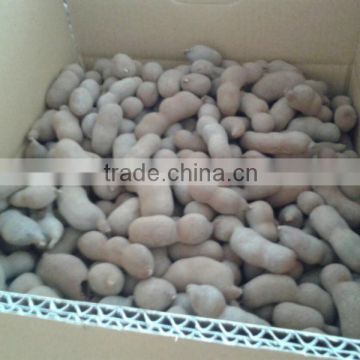 Sweet Tamarind Grade C