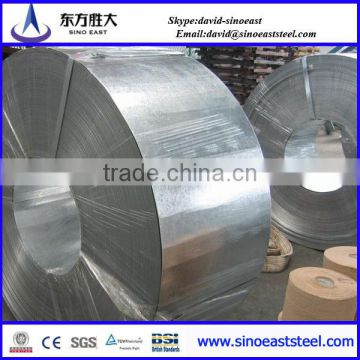 hot sale!! g 30/g60 sgcc/galvanized/hot dipped/ electro galvanized steel coilsl /GI steel sheet manufacturer