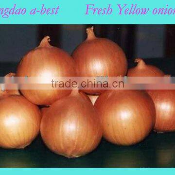 2014 Fresh Onion for sale