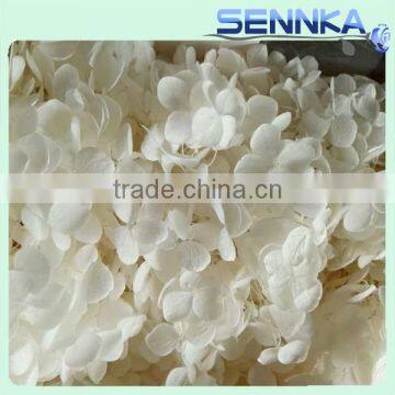The fashion Beautiful Preserved flower Hydrangea Flower Gifts For Decoration