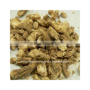 100% Pure Natural Angelica Root Essential Oil(ngelicaarchangelica)