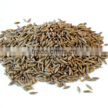 Cumin Seeds