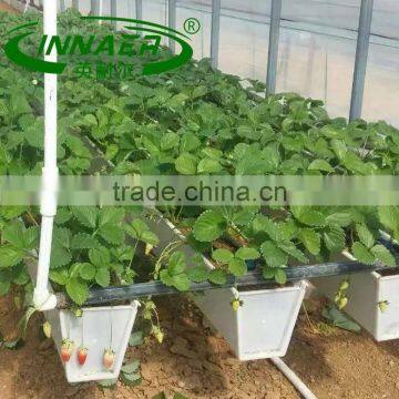 Three-dimensional greens Planting trough for Onion planting