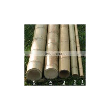 Using effectively with bamboo pole for garden