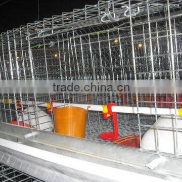 TAIYU Broiler poultry farm shed design