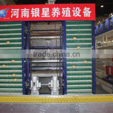 H type poultry farm egg collection system