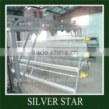 factory direct poultry farm used automatic chicken feeding system