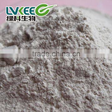 High Quality 100 Billion Cfu/g Bacillus Licheniformis Feed Additives in Poultry photo-2