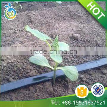 Poly irrigation pipe used for drip irrigation