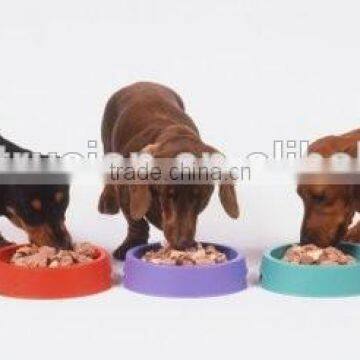 Intentional Lab Extruder for Making Pet Pellet Food photo-4