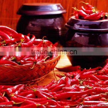 FP-05 Shanghai Commercial Chilli Pepper Making Machine photo-5