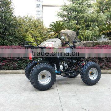 JLA 11-08 110cc JINLING New Star Quak Bike for Sales photo-5