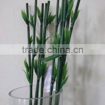 Spiral Lucky Bamboo Pole/dracaena Wandering, Decorative Bamboo Plant photo-3