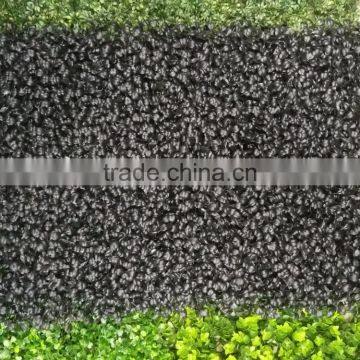 Artificial Turf for Garden Fence Decoration photo-3