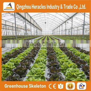Heracles Economical Plastic Commercial Low Cost Multi Span Plastic Greenhouses With Automatic Irrigation System photo-3