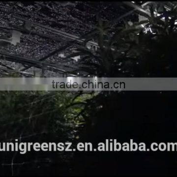 Top Quality Material Light Deprivation Blackout Greenhouse photo-4