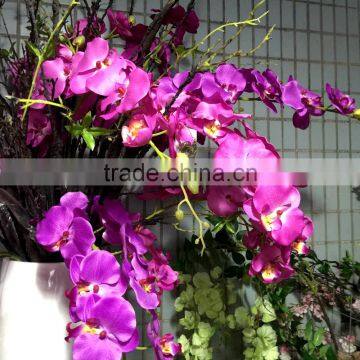 long stem silk orchid wedding background decoration home arrangement