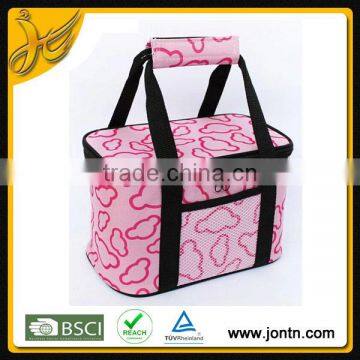 high quality multi-functional disposable ice cooler bag