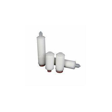 Hydrophobic PTFE Folded Filter Cartridge