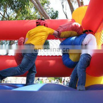 2013 Hot inflatable boxing ring for sale