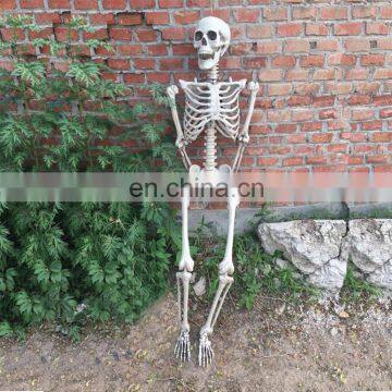 Halloween Skeleton 100% Plastic 165cm Life Size Jointed-N-Stay Hanging Human Skeleton for Halloween Decoration Halloween Props