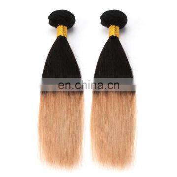 Express Ali Factory Price Ombre European Virgin 100 Human Hair photo-2