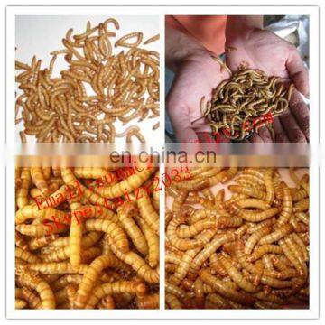 the Barley Worm Screening Machine , Superworm Separator photo-6