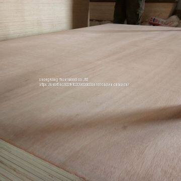 Good Price 18mm Okoume Face Plywood Made in China photo-5