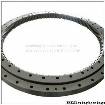 Nsk Slewing Bearing