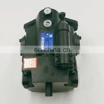 High pressure plunger electric oil pump V70A4R10X/A3/A2/A1V15/V18/V23/V25/V38/V42/V50/V70/A4R10X A3/A2/A1 YEOSHE