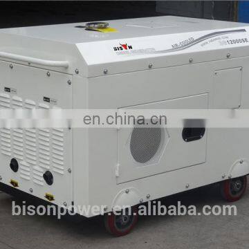 BISON China Taizhou AC Single Phase Silent Diesel Generator With AVR for Home Diesel Generator Set 10kv photo-4