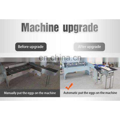 Commercial Egg Sorting Machine Small Egg Grader With Accumulator Lifter Egg Grading Machine photo-5